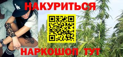 прущие грибы Нальчик