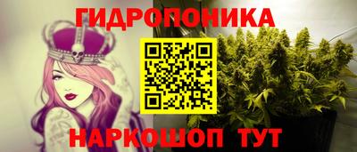 прущие грибы Нальчик